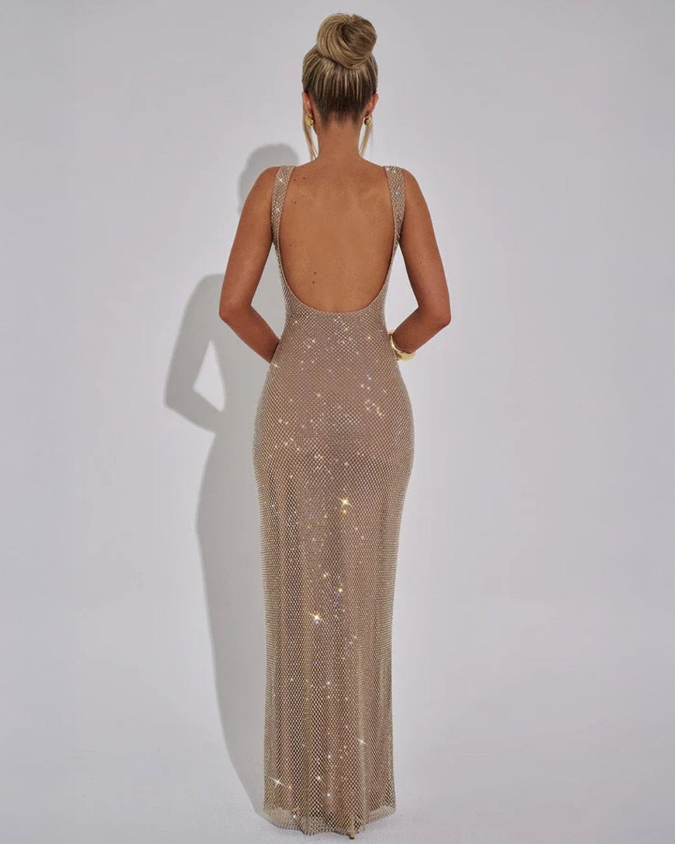 Women's Sequin Embellished Sleeveless Maxi Evening Gown